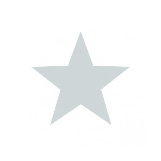 Wallpaper of a marine with a gray star on a white background