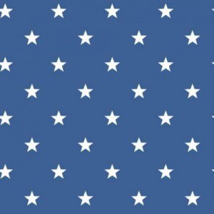 Wallpaper in small white stars on deep blue background