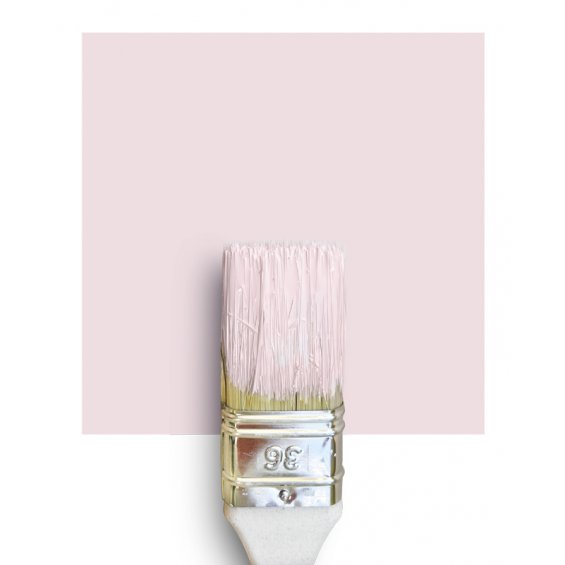 Wallpaint powder pink