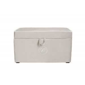 Beige trunk with emblem