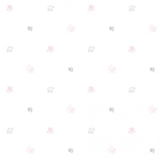 gray-and-pink-dog-paw-wallpaper