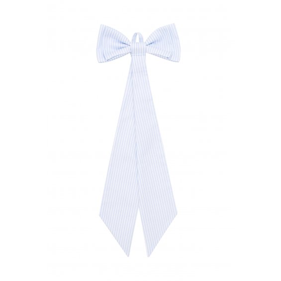 Decorative tied baby blue bow